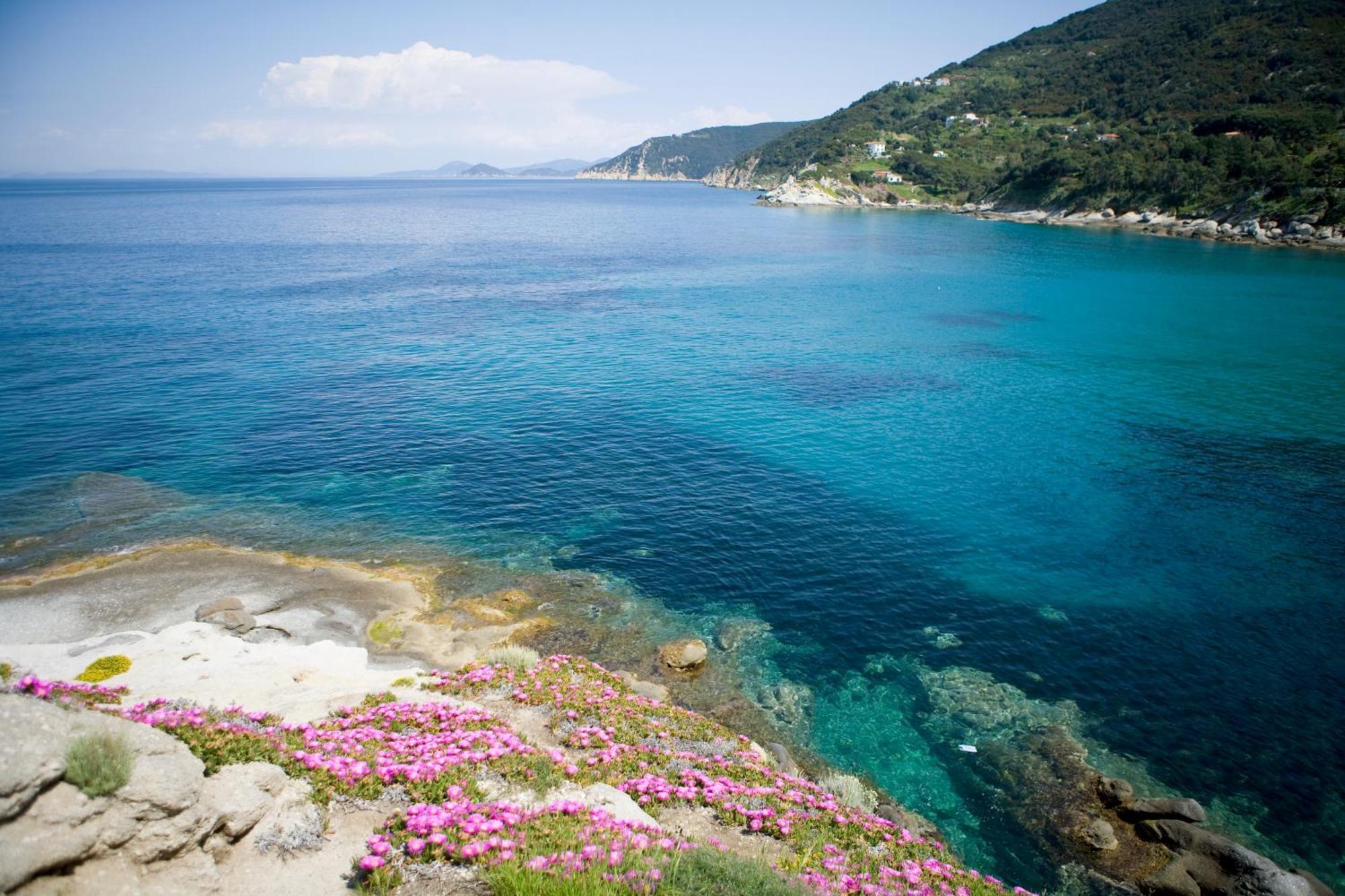Hotel Gallo Nero SantʼAndrea Eksteriør bilde