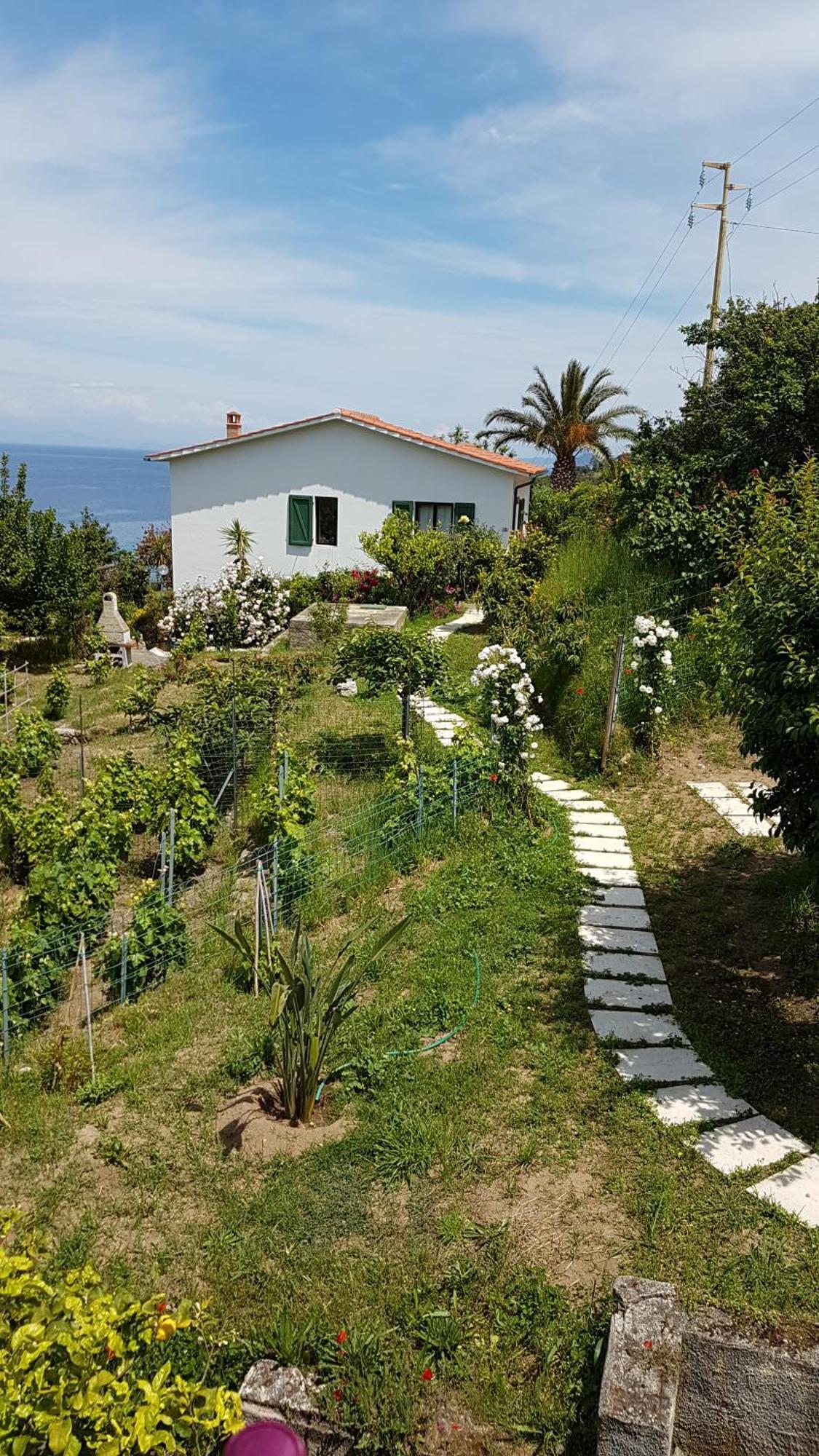 Hotel Gallo Nero SantʼAndrea Eksteriør bilde